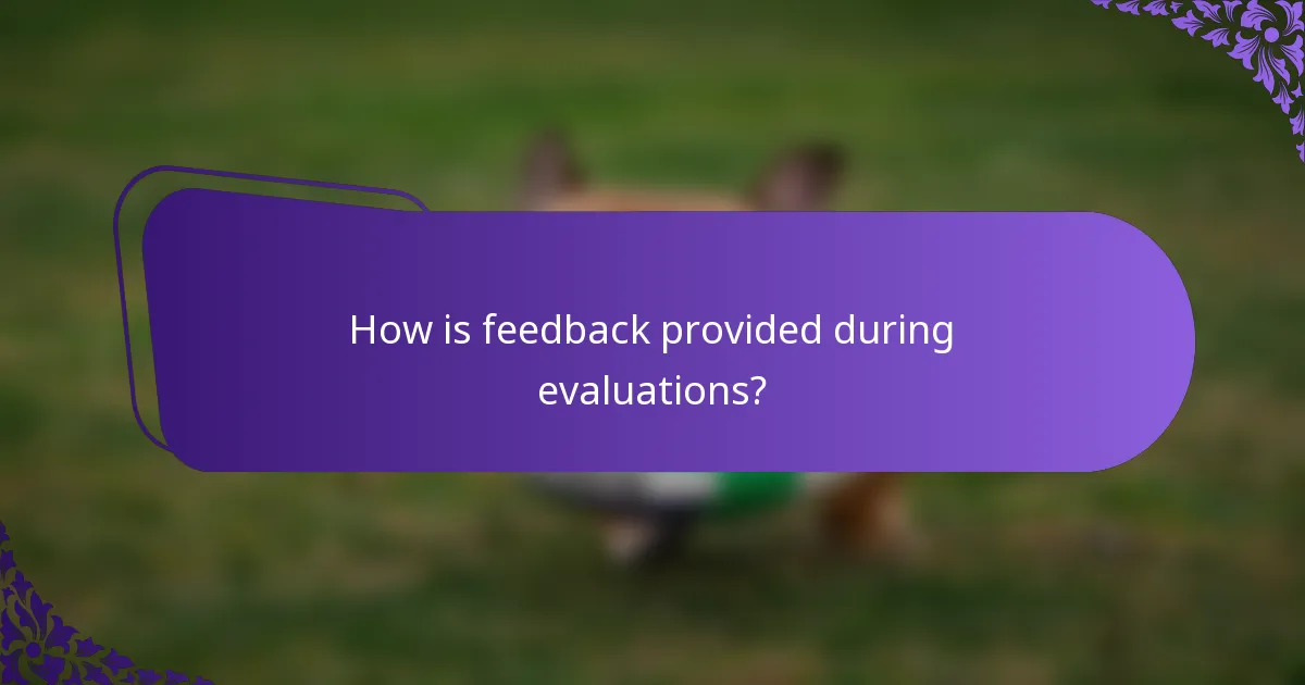 How is feedback provided during evaluations?
