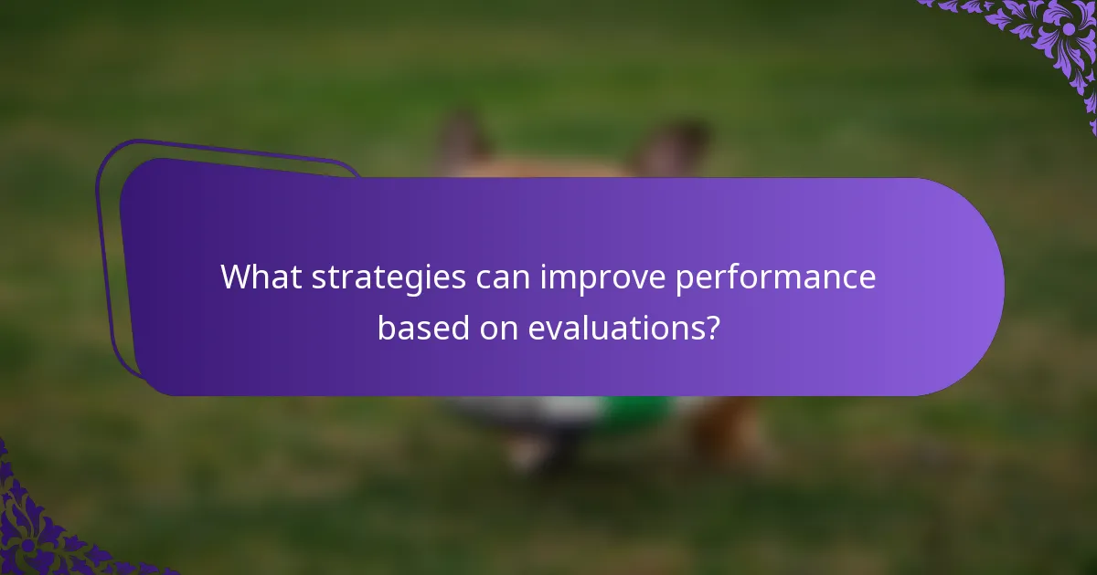 What strategies can improve performance based on evaluations?